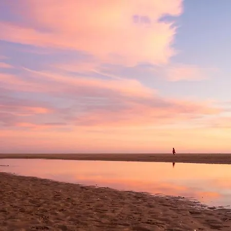 Oasis 콘일데라프론테라