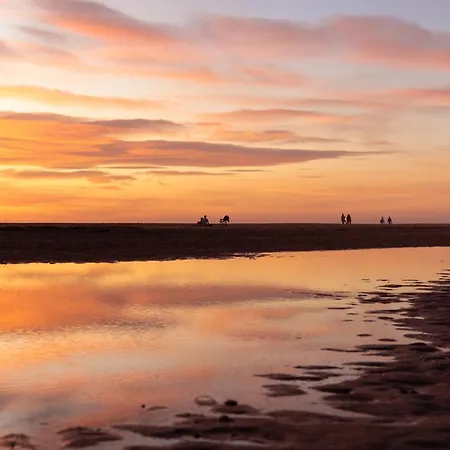 Oasis * 콘일데라프론테라