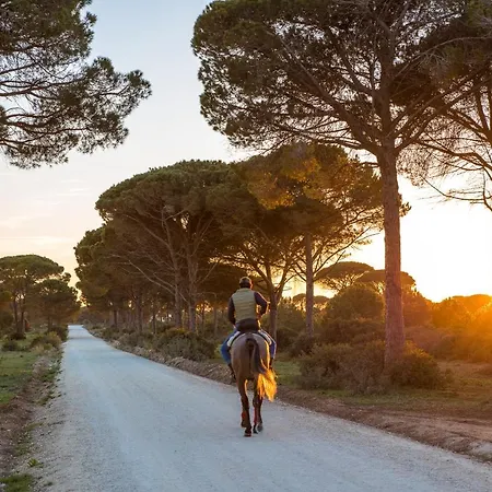 Oasis 콘일데라프론테라