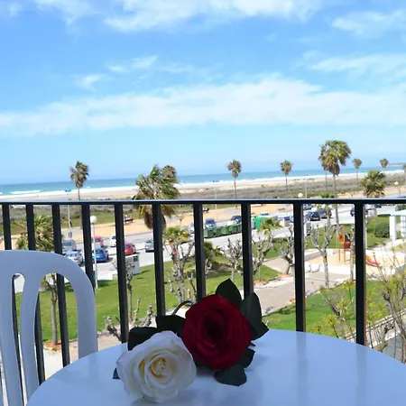 Oasis 콘일데라프론테라