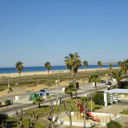 酒店 绿洲酒店 *