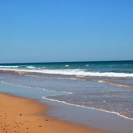酒店 绿洲酒店 *